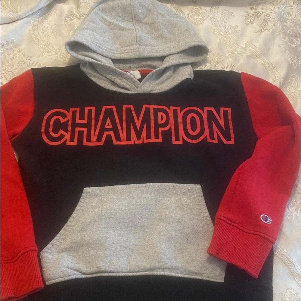 Champion Black and Red Hoodie
